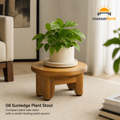 Maxsunfurni™ SunLedge Plant Stool